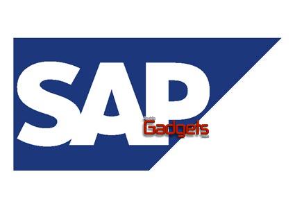 El 9 por ciento de las ventas de software SAP de 2010 en Am&eacute;rica Latina fue soportada por SAP Financing