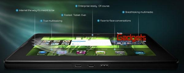 Blackberry Playbook