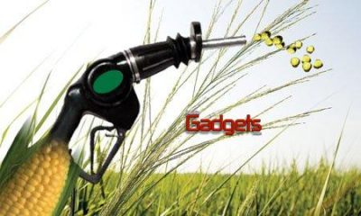 Boeing y estudio de la industria demuestran que los biocombustibles alcanzan los mismos niveles de eficacia que el combustible convencional