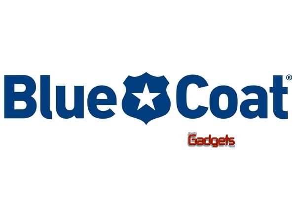 Blue Coat es nombrada la n&uacute;mero uno en el mercado de optimizaci&oacute;n de WANs por Infonetics