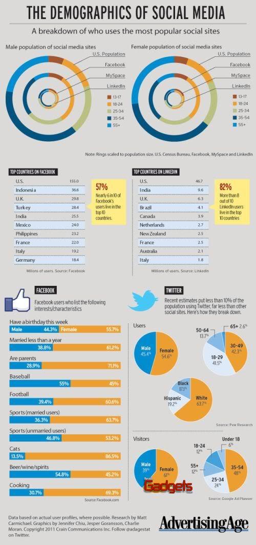 Infograf&iacute;a: Demograf&iacute;a de los usuarios de redes sociales