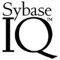 SYBASE IQ&reg;, EL SERVIDOR ANAL&Iacute;TICO BASADO EN COLUMNAS L&Iacute;DER EN EL MUNDO, INTRODUCE INNOVADOR AN&Aacute;LISIS DE NEGOCIOS DENTRO DE BA