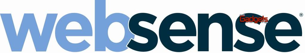 Reconoce Websense labor de socios de negocios con los premios All-Star Partner 2009