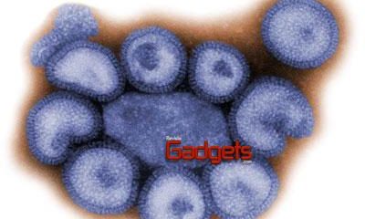 Las autoridades mexicanas de salud, usan la Comunicaci&oacute;n Visual Polycom para ayudar a manejar la epidemia de Influenza AH1N1