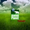 ANIMAL PLANET CELEBRA EL D&Iacute;A DE LA TIERRA CON UN ESPECIAL DE PROGRAMACI&Oacute;N QUE PRESENTA EL ESTRENO DE LA SERIE