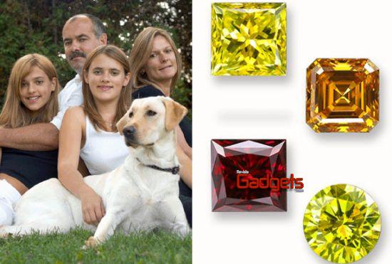 Convierte a tu mascota muerta en Diamante!