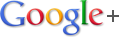 La mayor parte de los usuarios de Google+ son hombres y s&oacute;lo quieren ligar