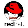 Red Hat demuestra solidez en los resultados del primer trimestre.