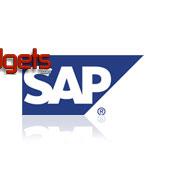 Gayosso, listo para revolucionar su industria con SAP