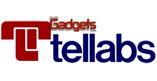 Tarcisio Ribeiro,  Vicepresidente de Ventas para Latinoam&eacute;rica de Tellabs hace un llamado para que los operadores cumplan con la demanda por da