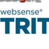 Servicio Gratuito Websense TRITON Ofrece An&aacute;lisis de Sitios Web en Tiempo Real