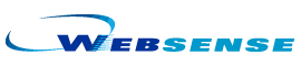 Las predicciones de Websense Security Labs para 2009