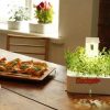 Click & Grow’s New Grow Light Enables Smart Flower Pots to Spring up in Dark Places