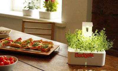 Click & Grow’s New Grow Light Enables Smart Flower Pots to Spring up in Dark Places