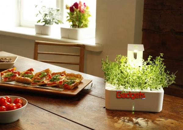 Click & Grow’s New Grow Light Enables Smart Flower Pots to Spring up in Dark Places Click & Grow’s New Grow Light Enables Smart Flower Pots to Spring up in Dark Places