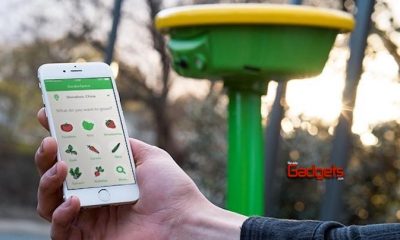 GardenSpace, proyecto en Kickstarter de dispositivo inteligente que observa, riega y cuidar nuestro jardín