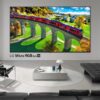 LG Redefine el Color en sus Televisores Premium con Micro RGB evo y Mini RGB evo